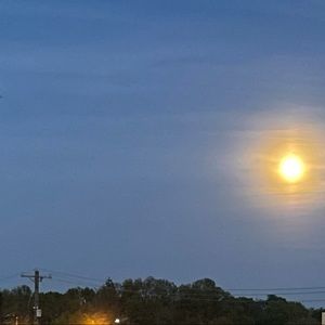 Meet your Posher, Chloe